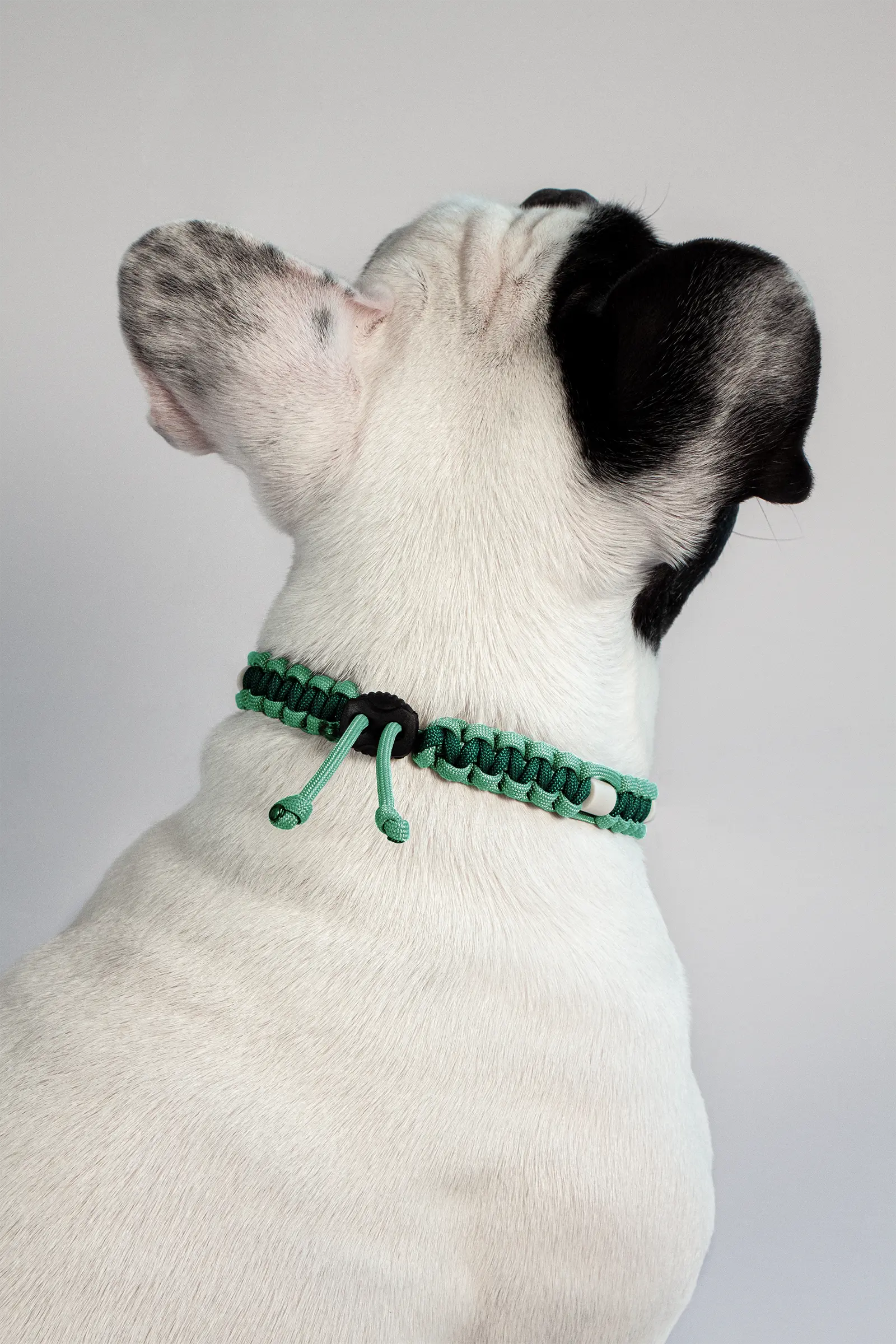 Zeckenhalsband mit EM-Keramik · Alpingrün × Dewdrop