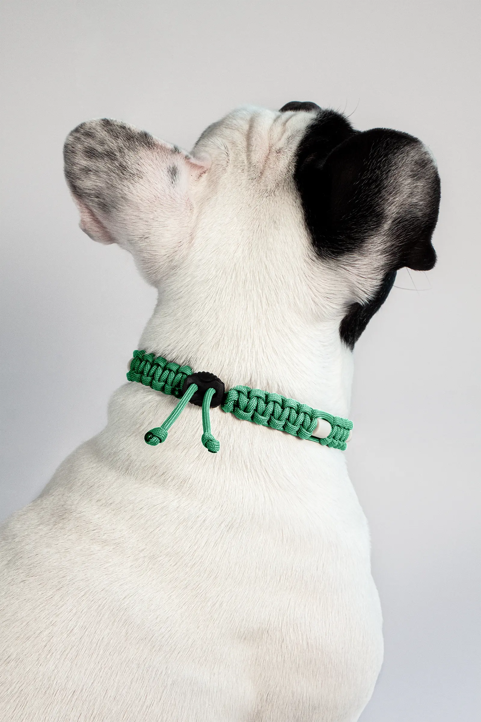 Zeckenhalsband mit EM-Keramik · Dewdrop