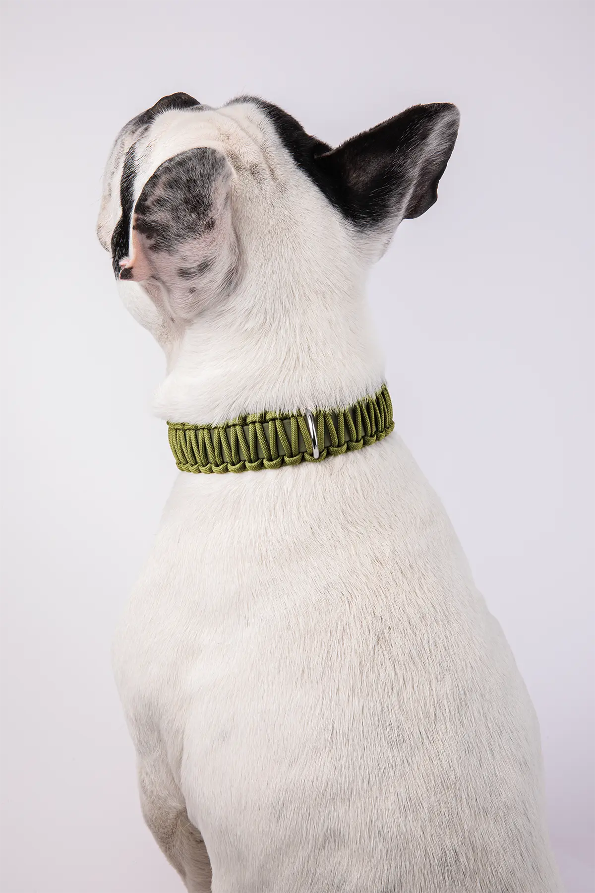 Halsband aus BioThane®-Paracord · Military Olive x Moos