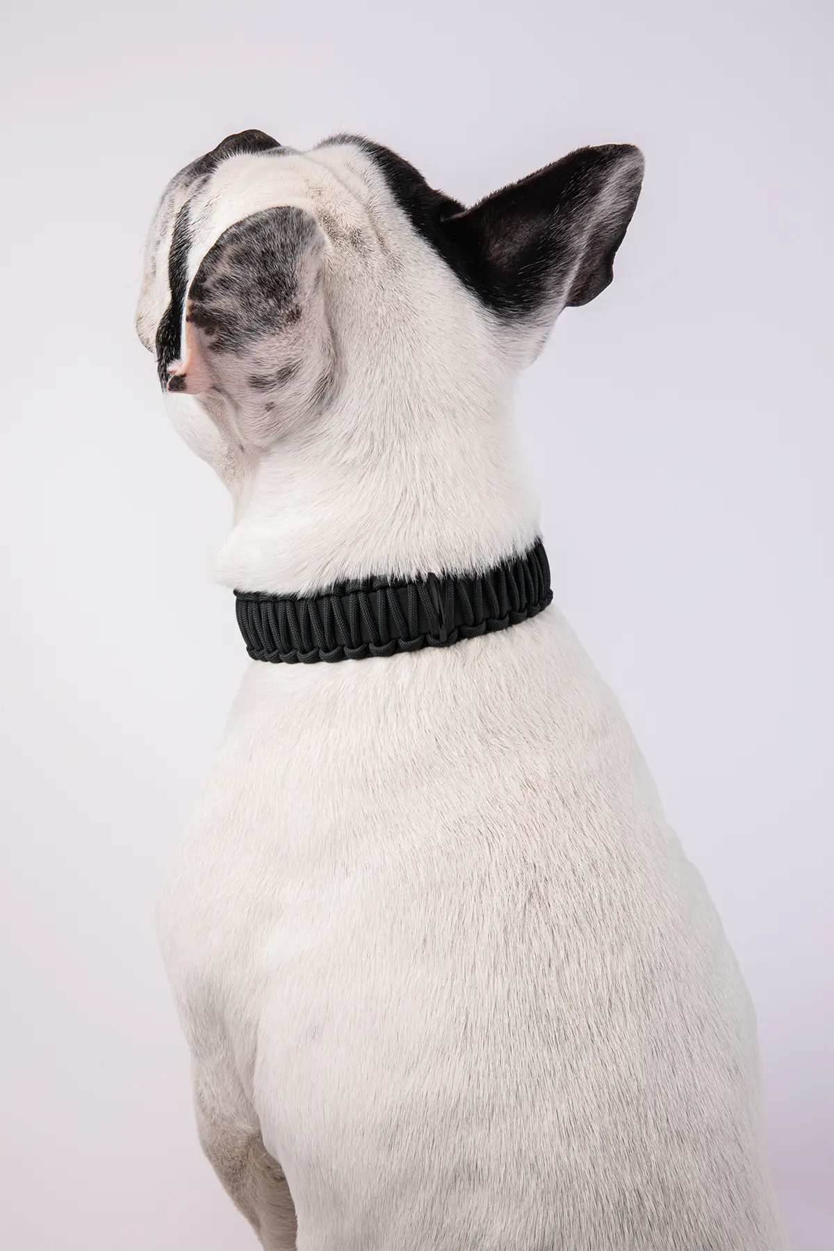 Halsband aus BioThane®-Paracord · Schwarz