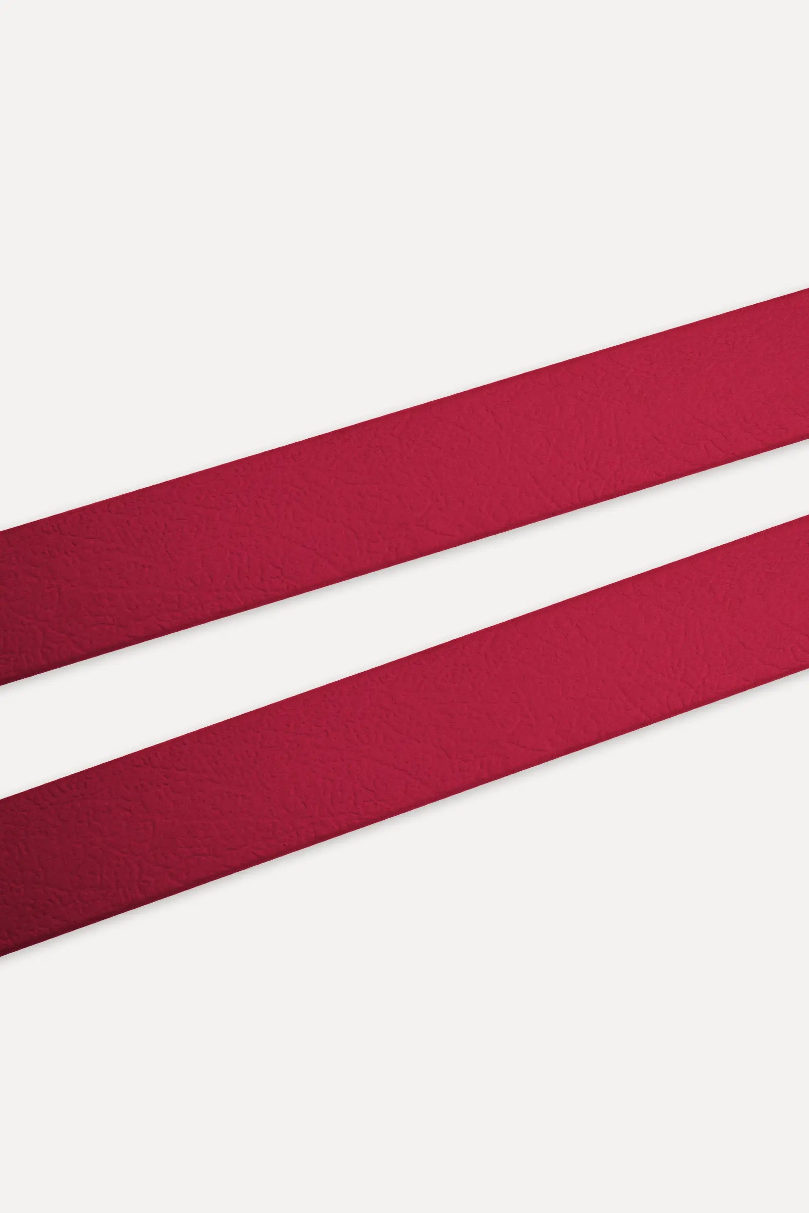 BioThane® Hundeleine · Weinrot