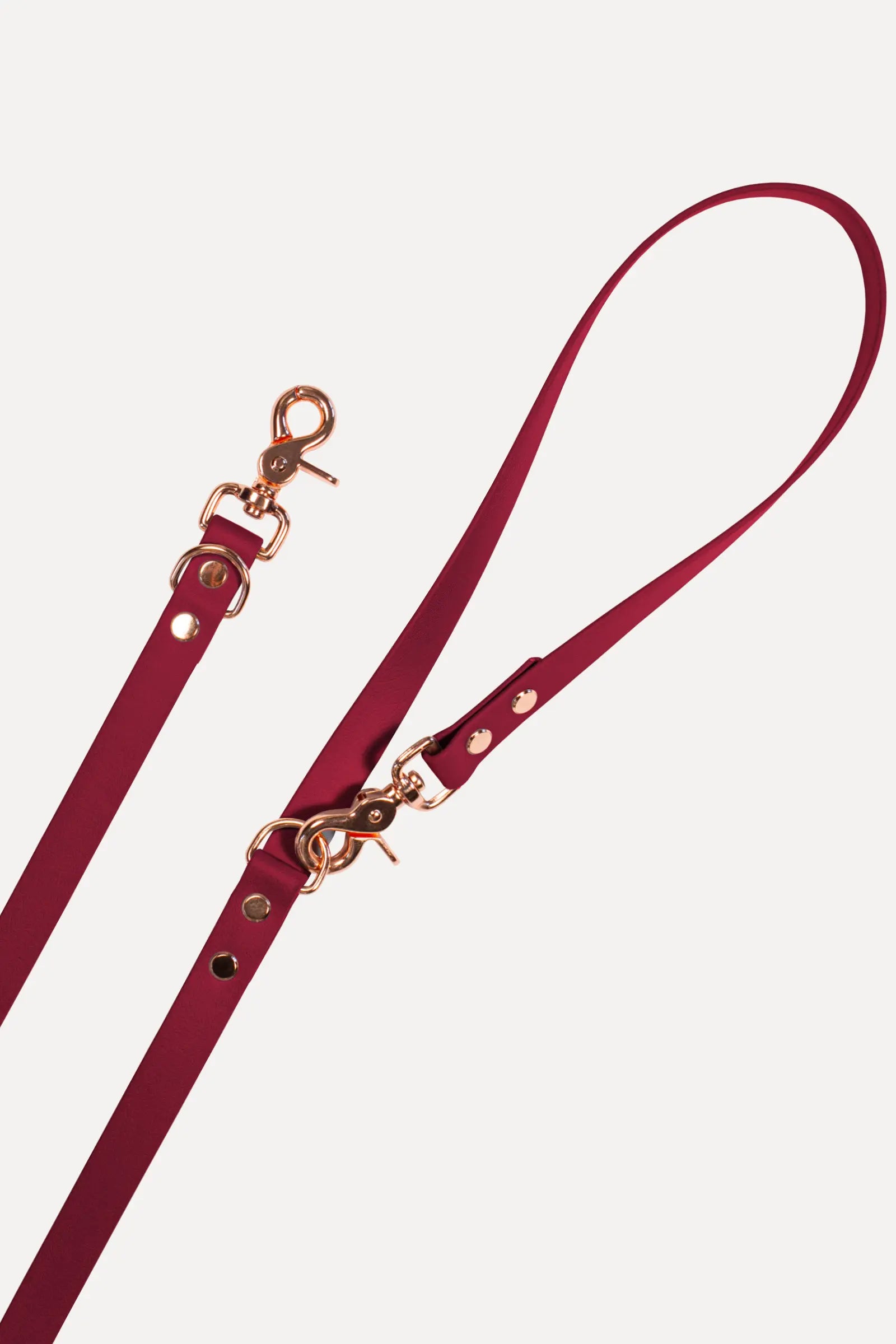 BioThane® Hundeleine · Weinrot