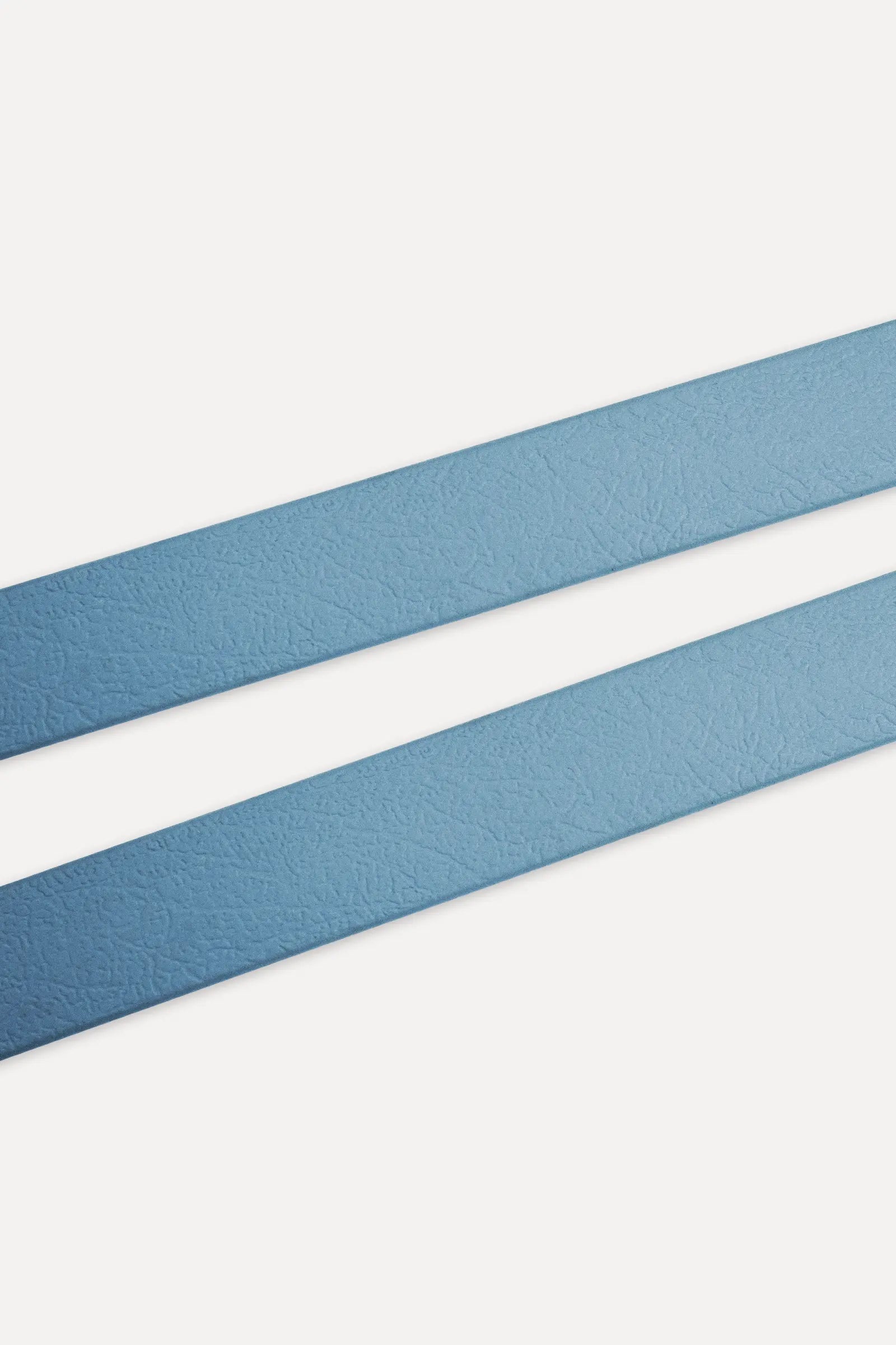 BioThane® Hundeleine · Petrol