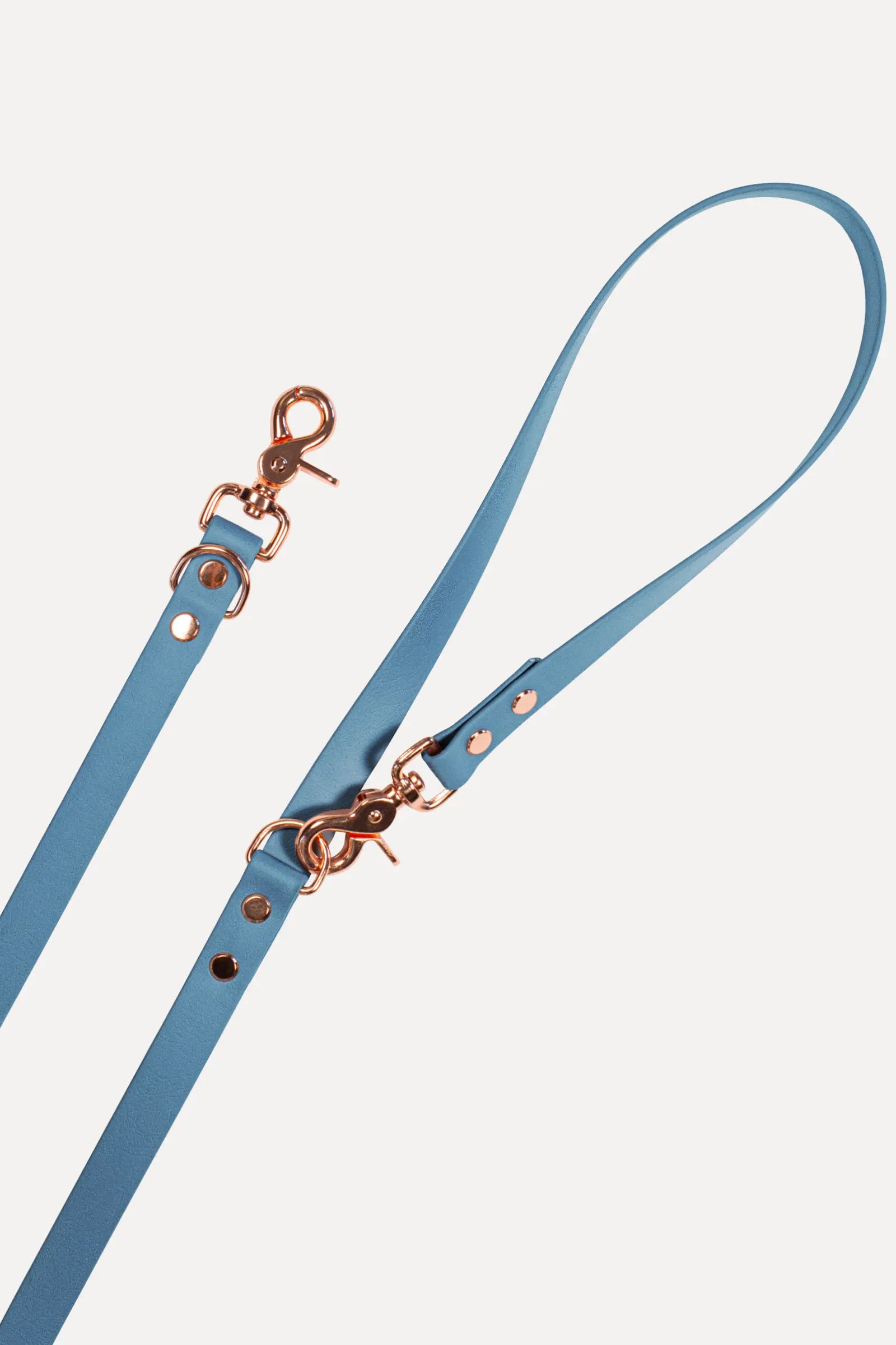 BioThane® Hundeleine · Petrol