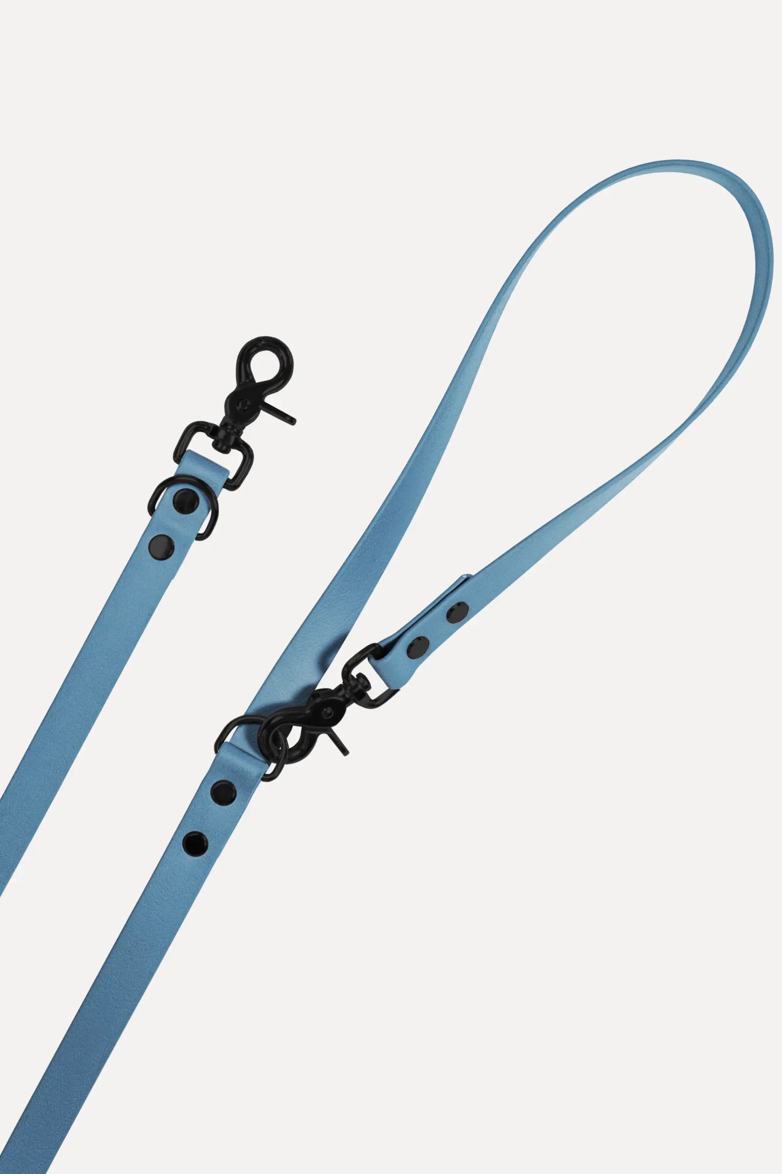 BioThane® Hundeleine · Petrol