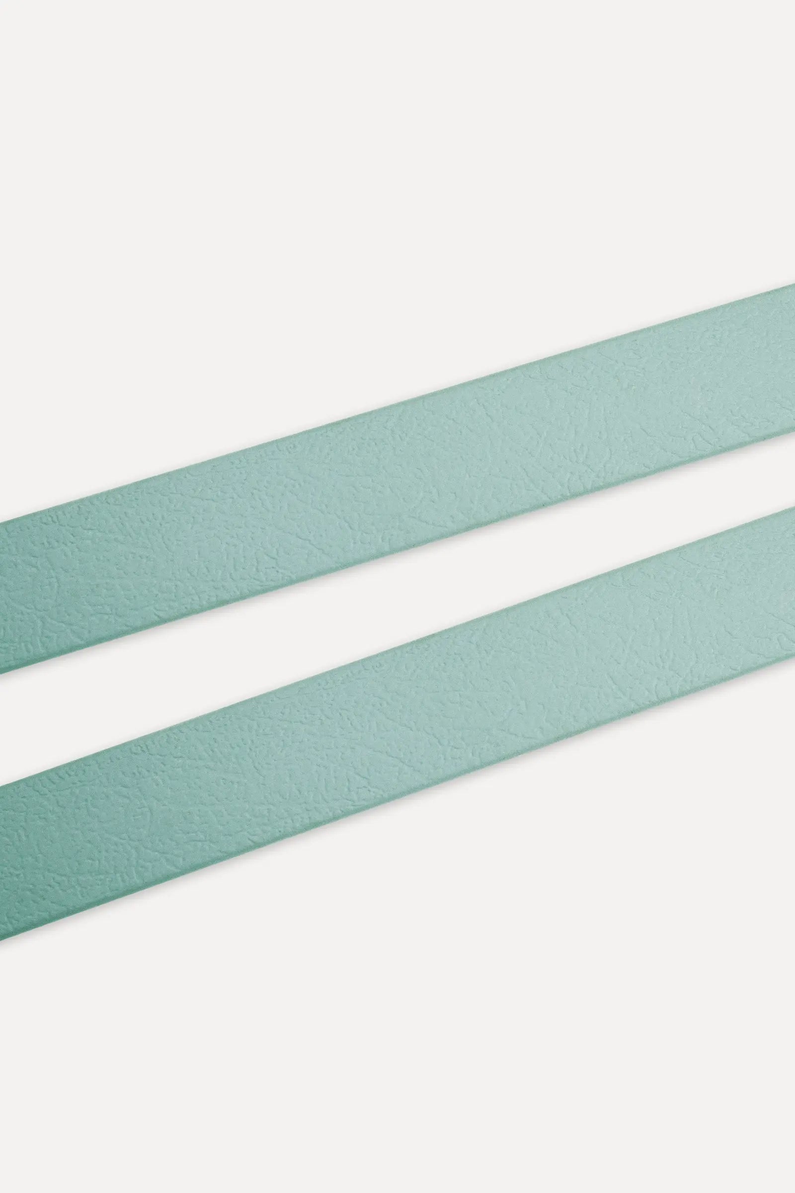 BioThane® Hundeleine · Sage Grün