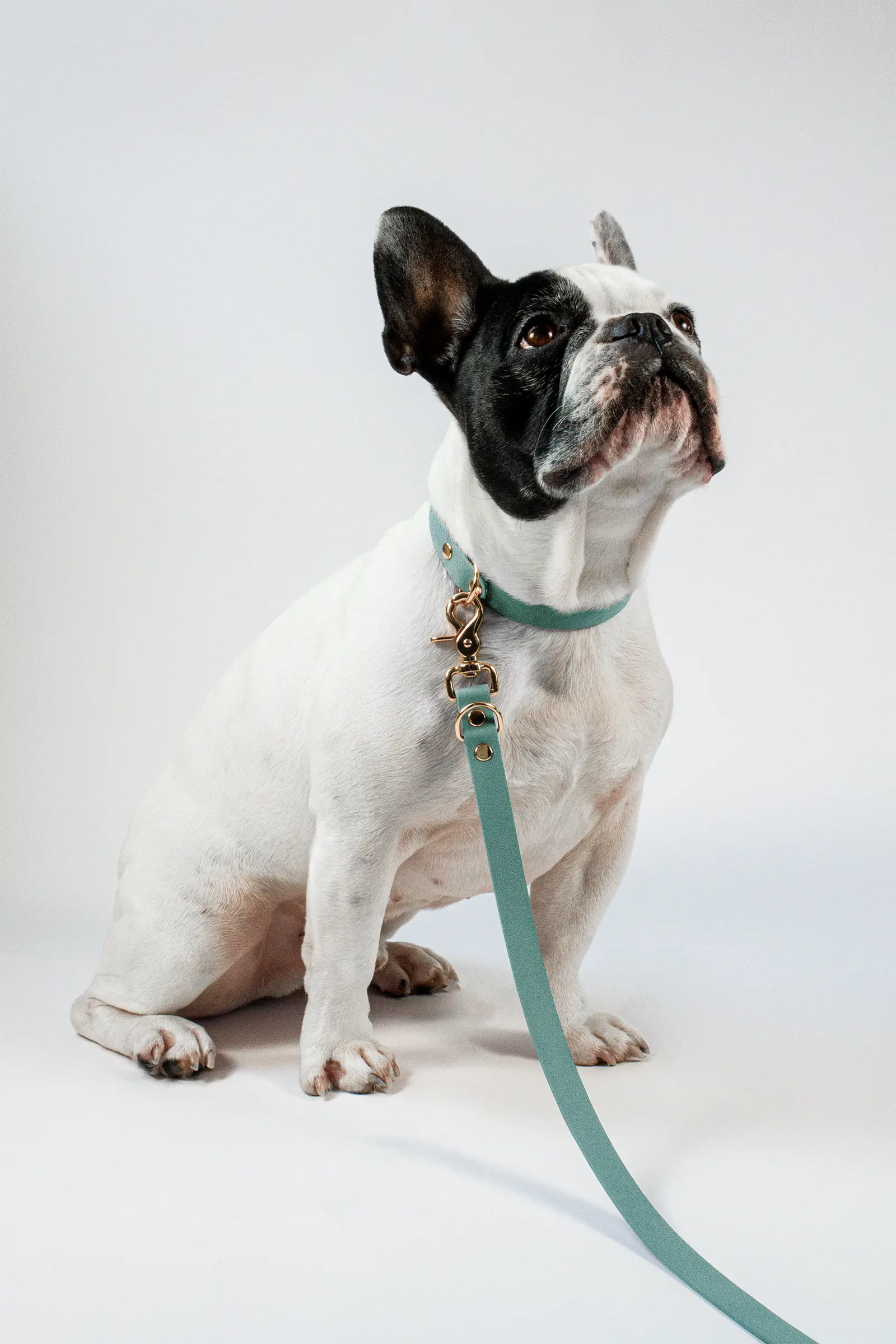 BioThane® Hundeleine · Sage Grün