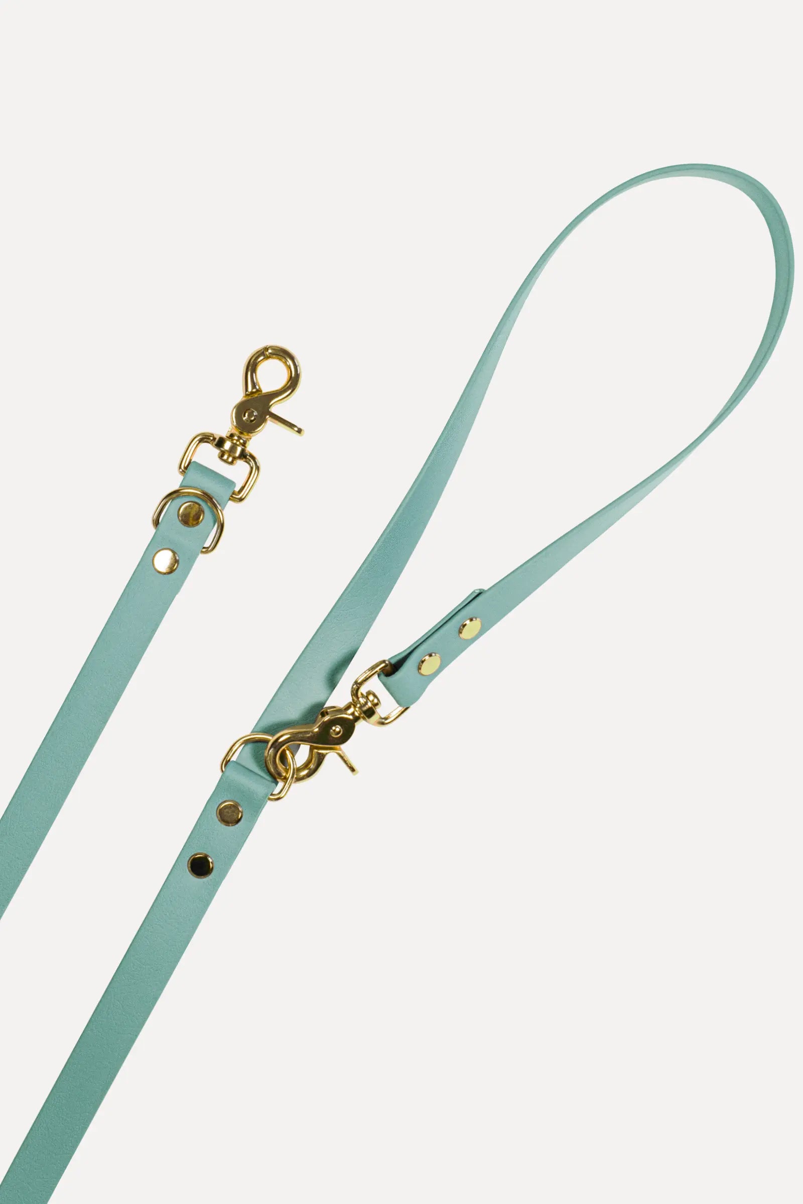 BioThane® Hundeleine · Sage Grün