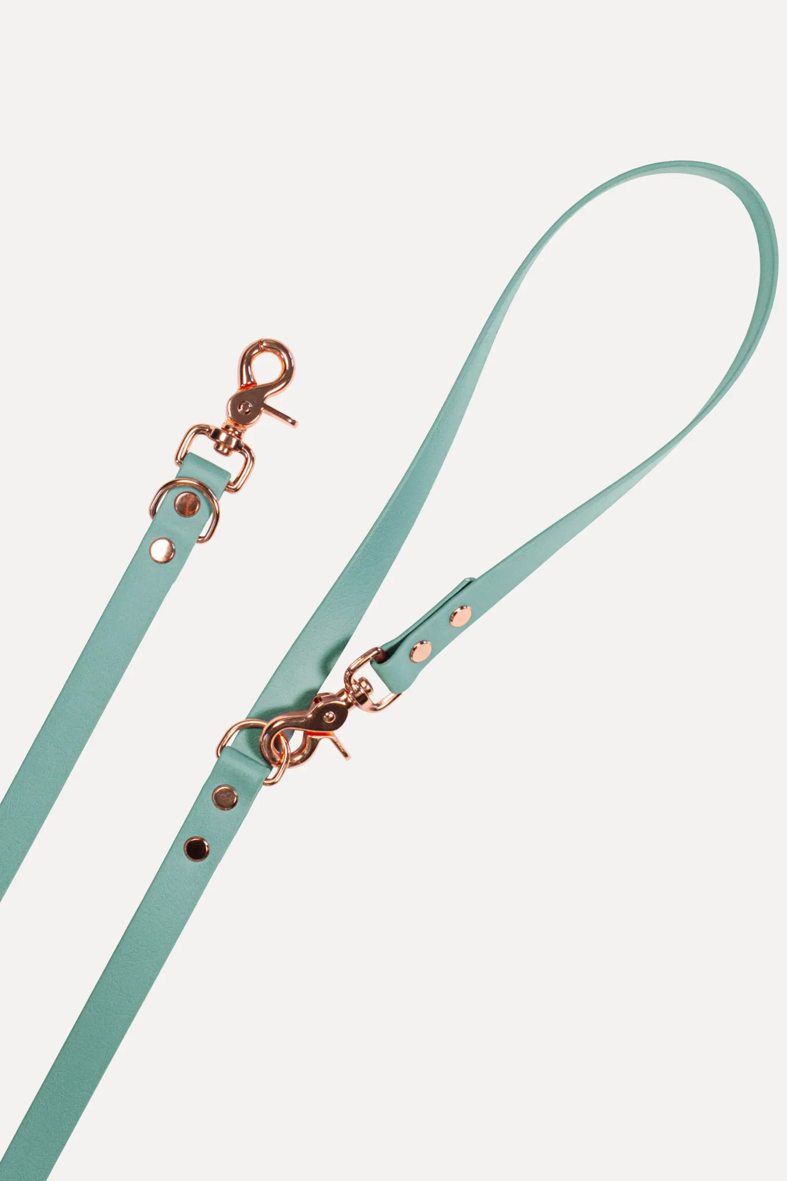 BioThane® Hundeleine · Sage Grün