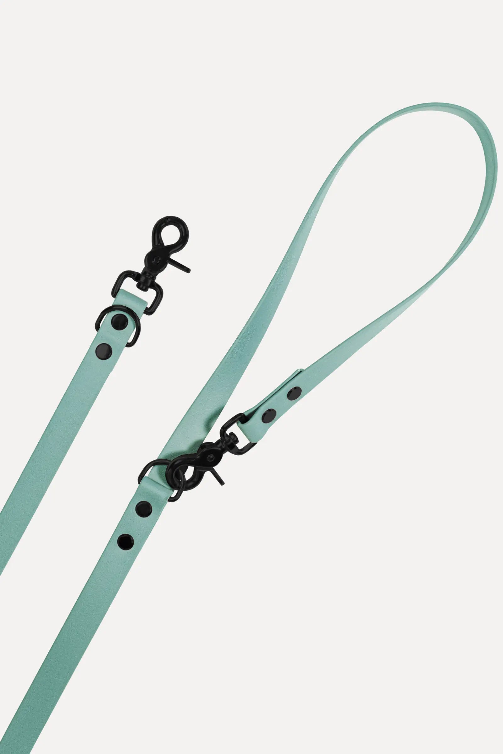 BioThane® Hundeleine · Sage Grün