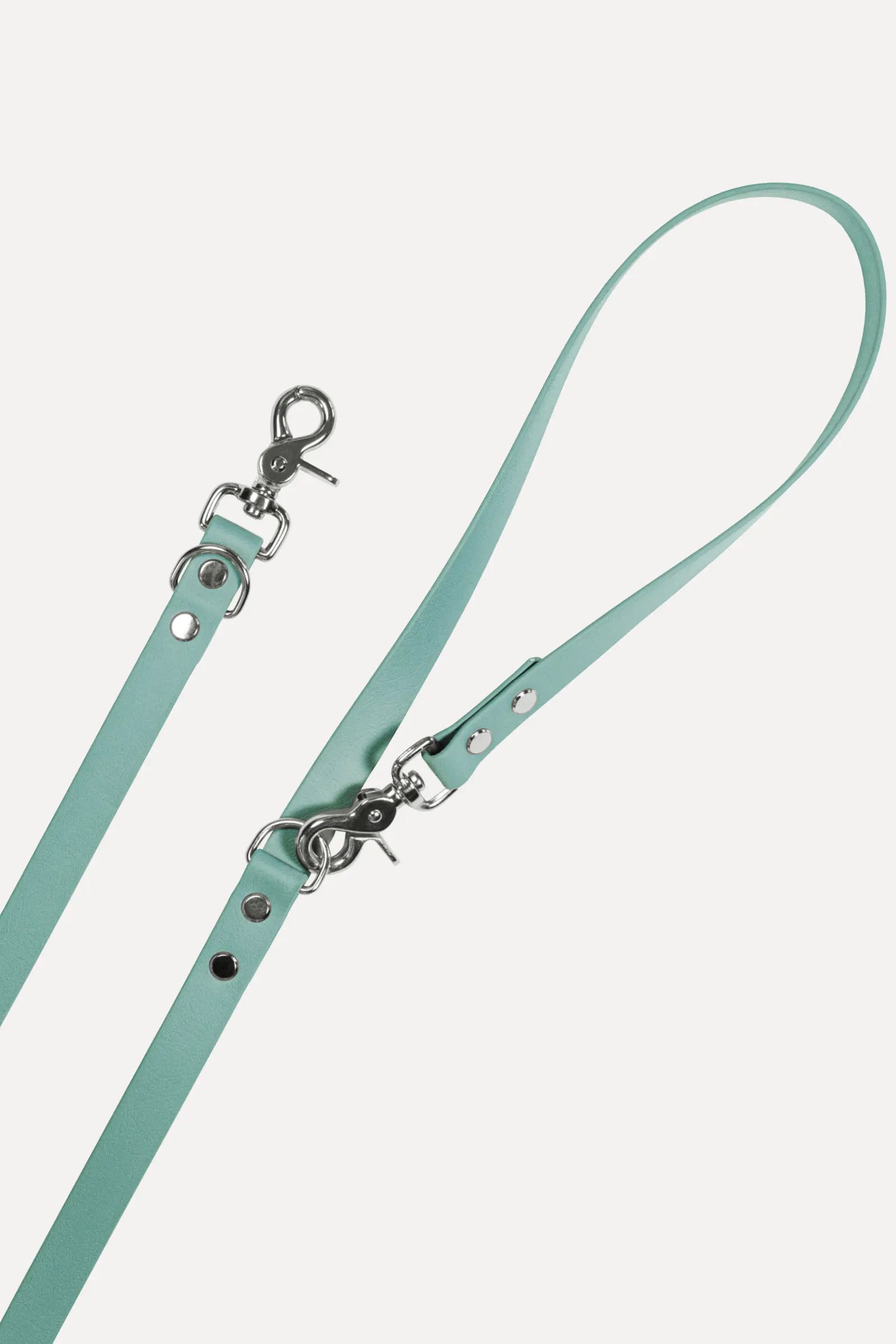 BioThane® Hundeleine · Sage Grün