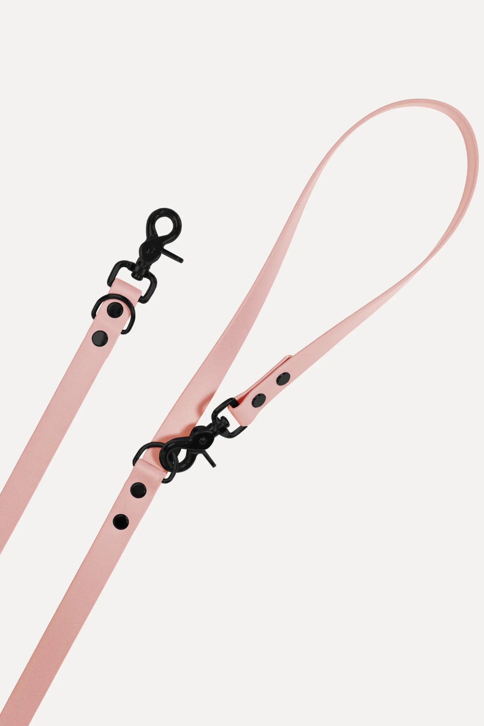 BioThane® Hundeleine · Golden Copper