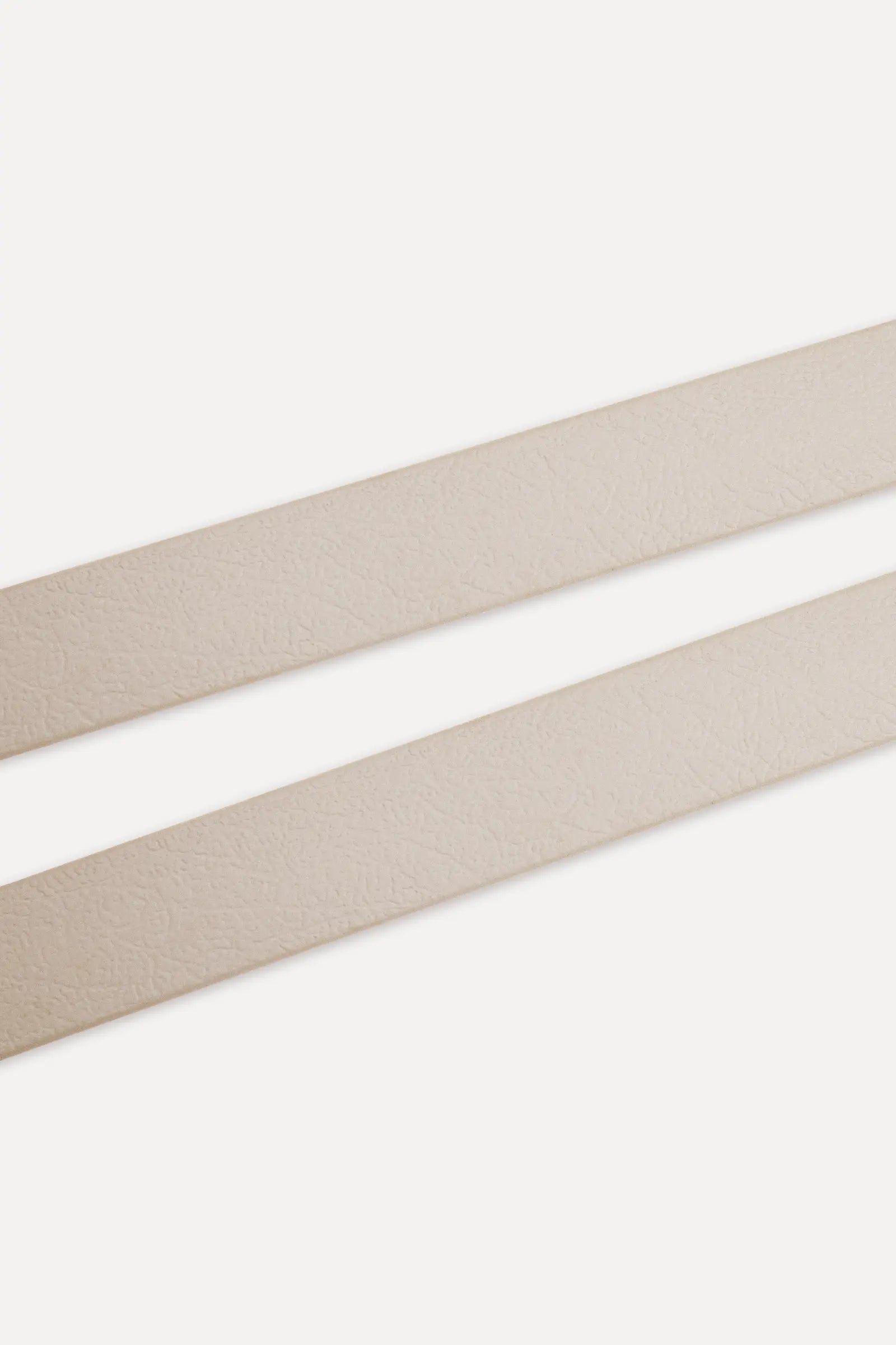 BioThane® Hundeleine · Powder Tan