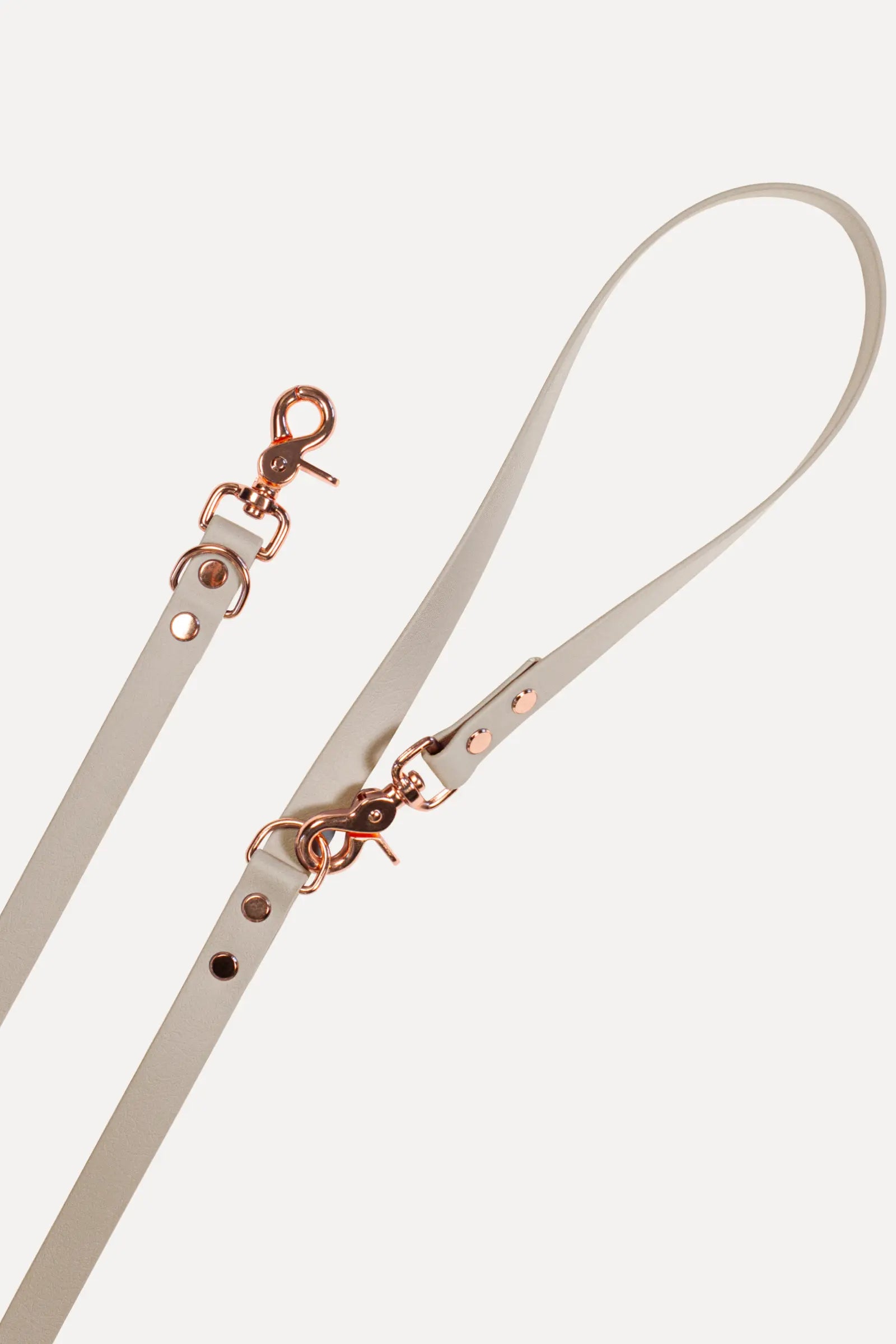 BioThane® Hundeleine · Powder Tan