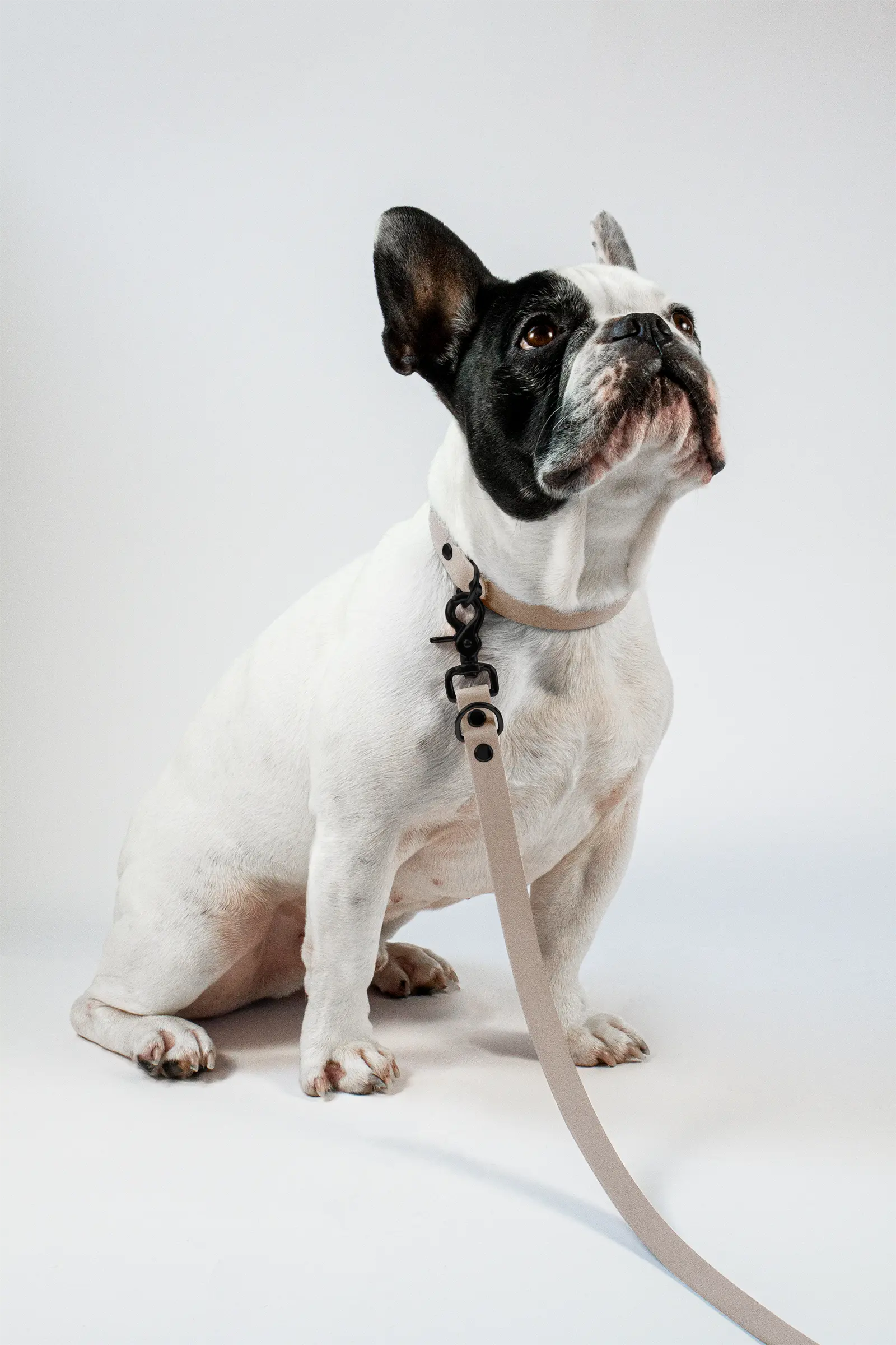 BioThane® Hundeleine · Powder Tan