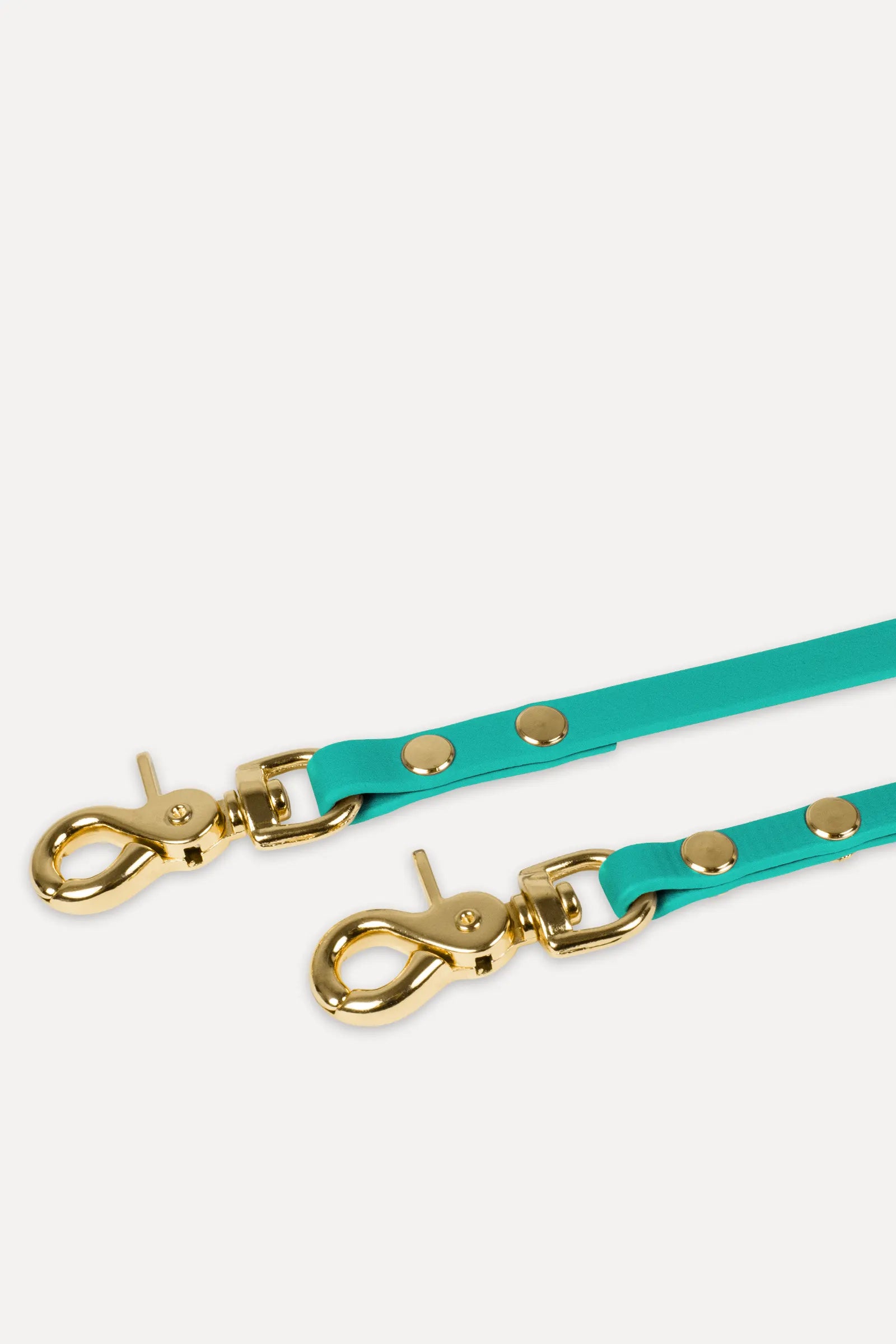 BioThane® Schleppleine · Teal