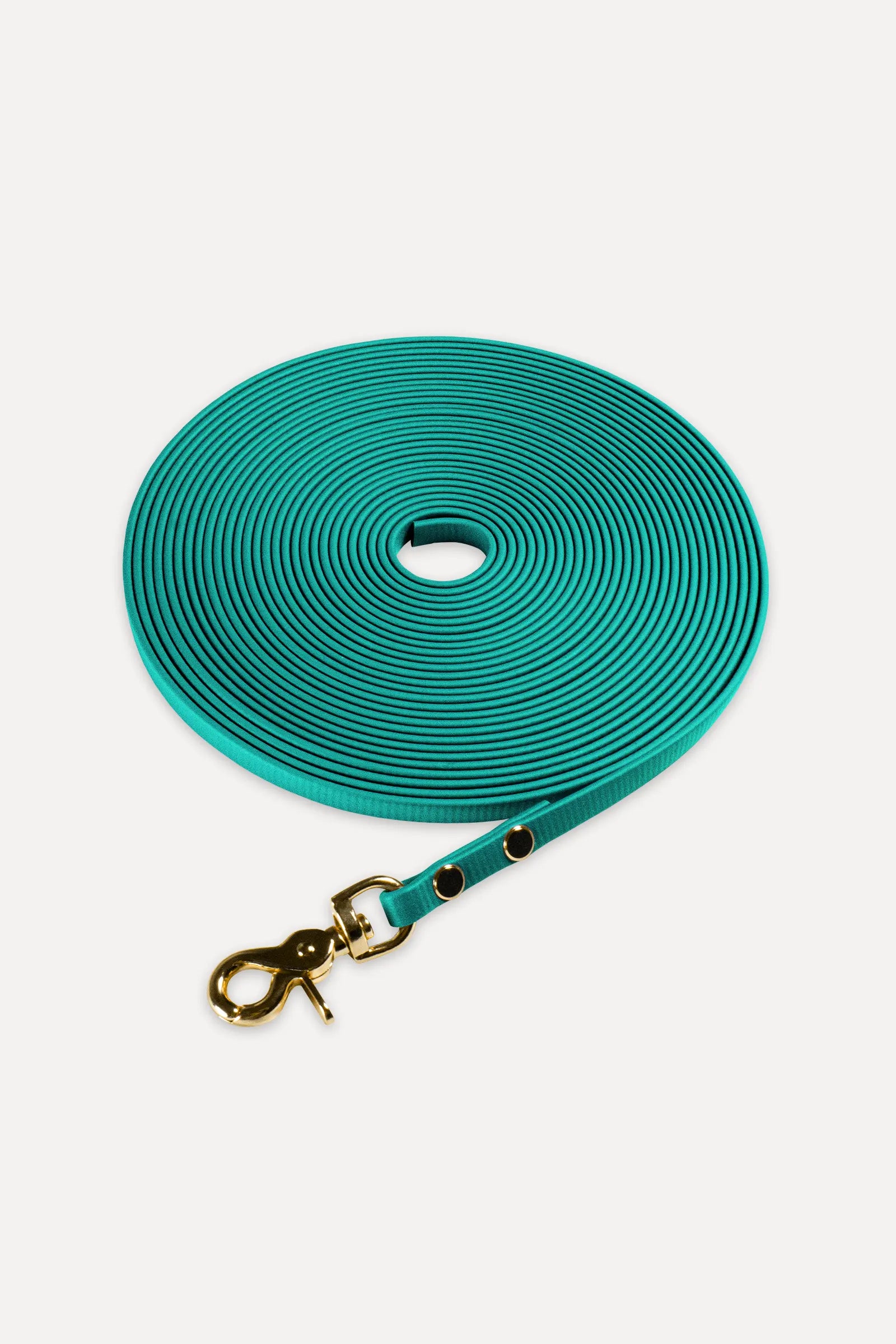 BioThane® Schleppleine · Teal