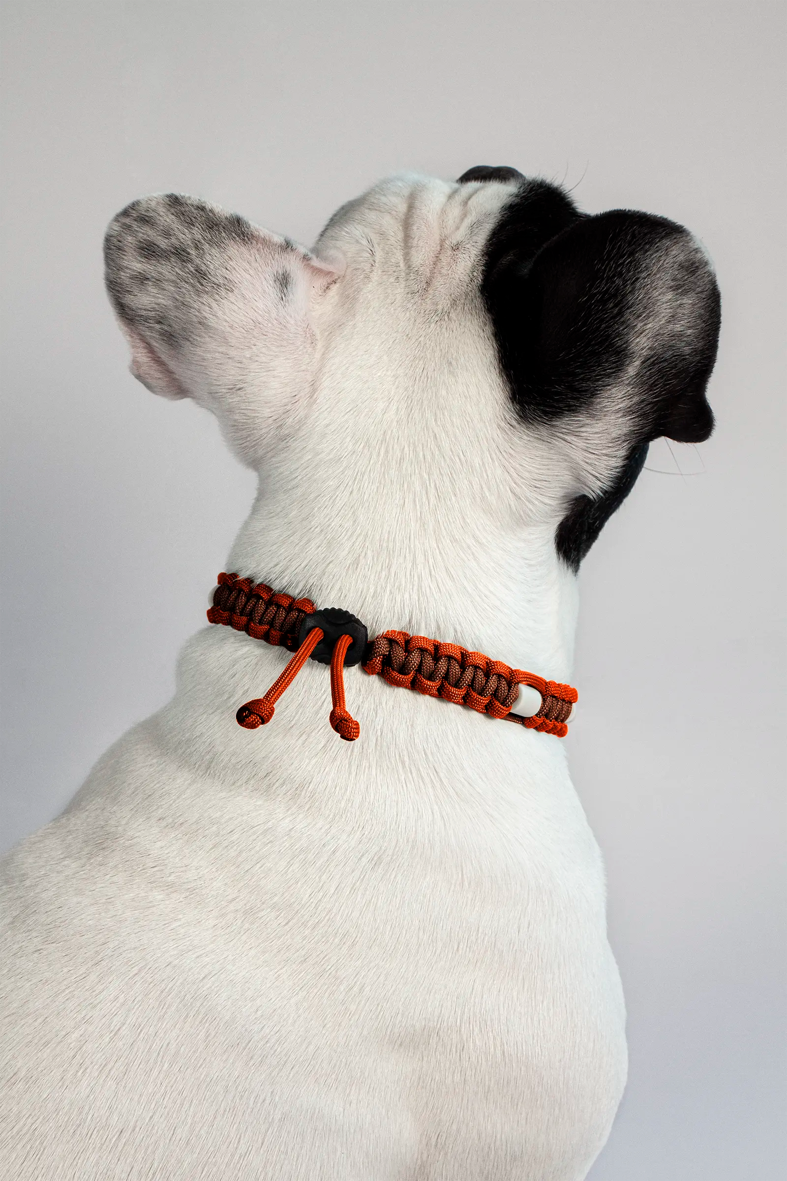 Zeckenhalsband mit EM-Keramik · Rost × Fox Orange