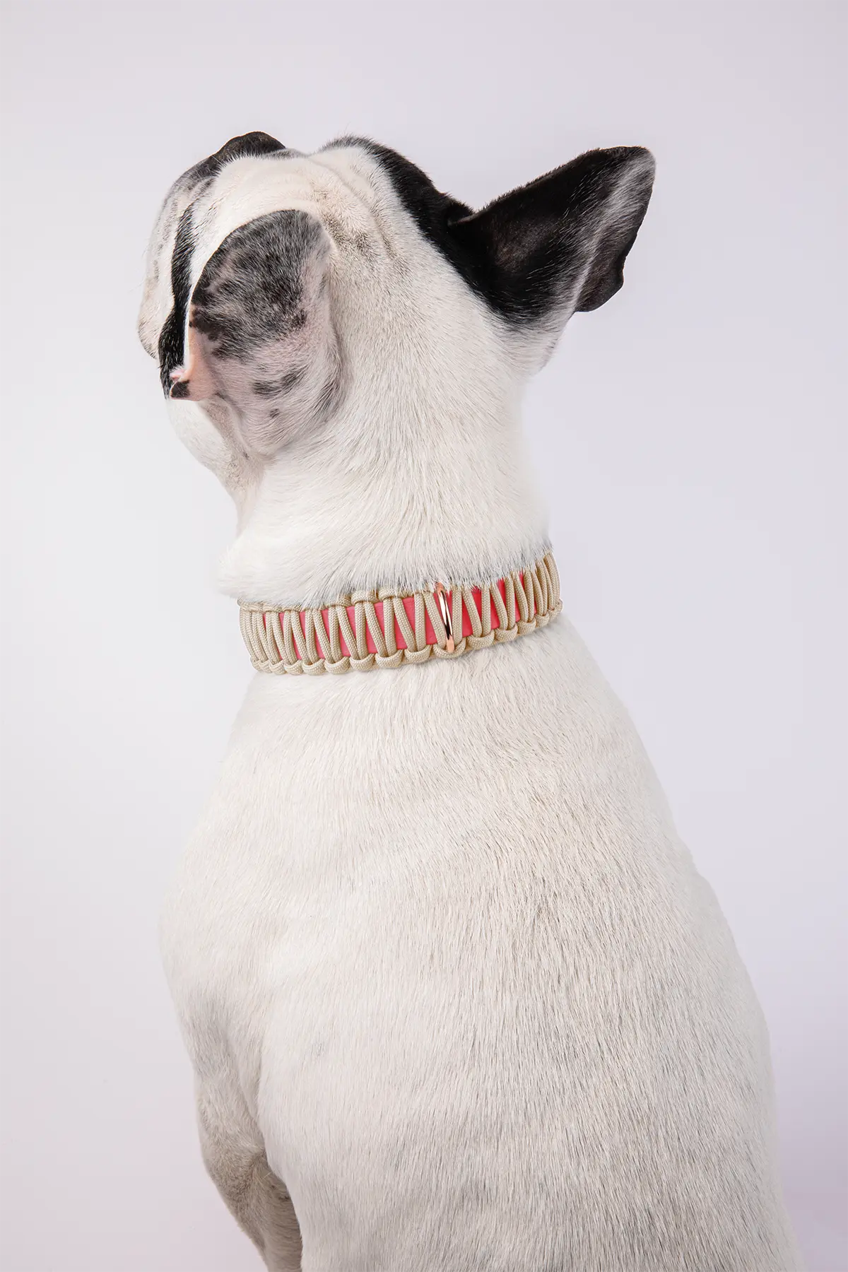 Halsband aus BioThane®-Paracord · Coral x Creme