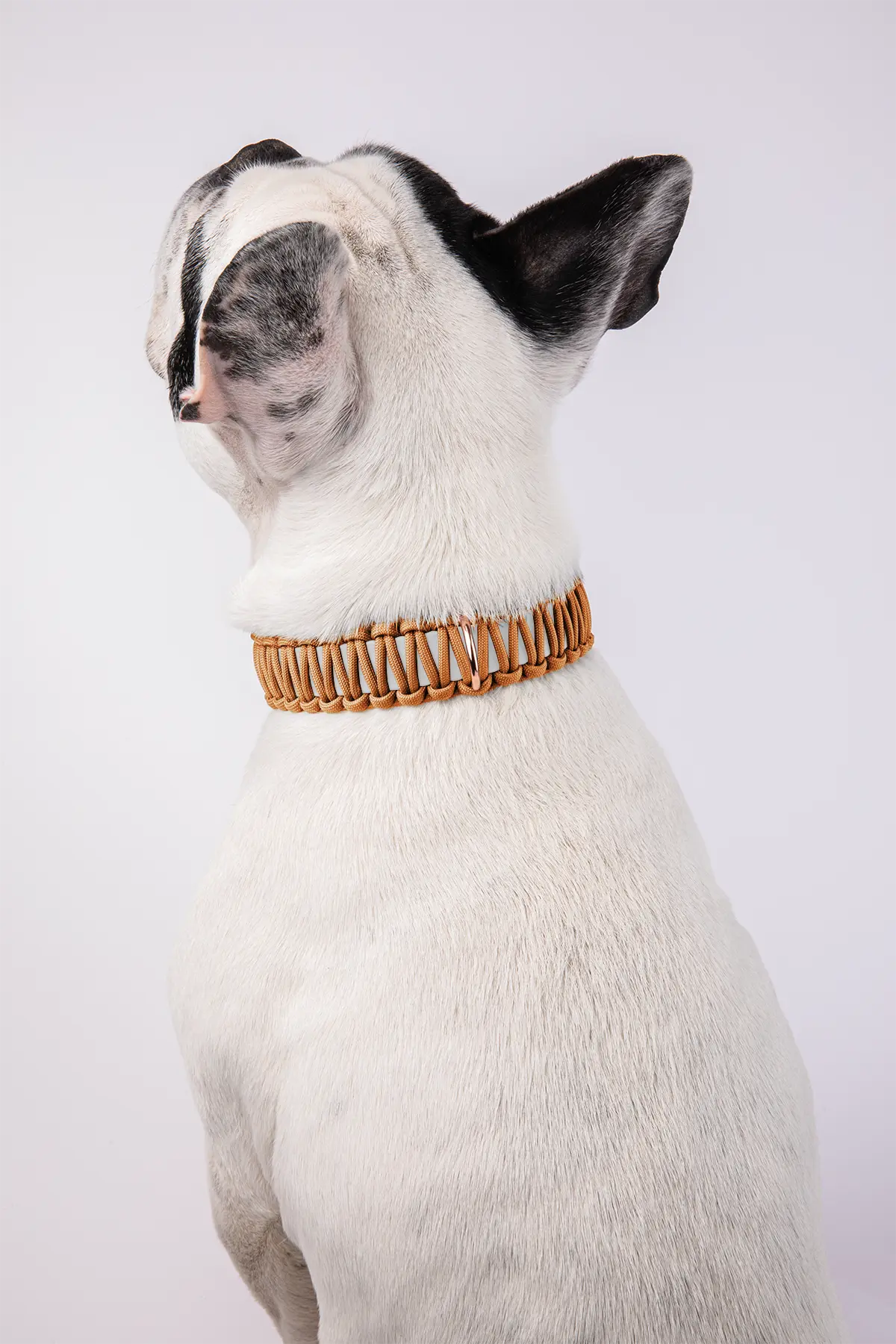 Halsband aus BioThane®-Paracord · Weiß x Kupfer