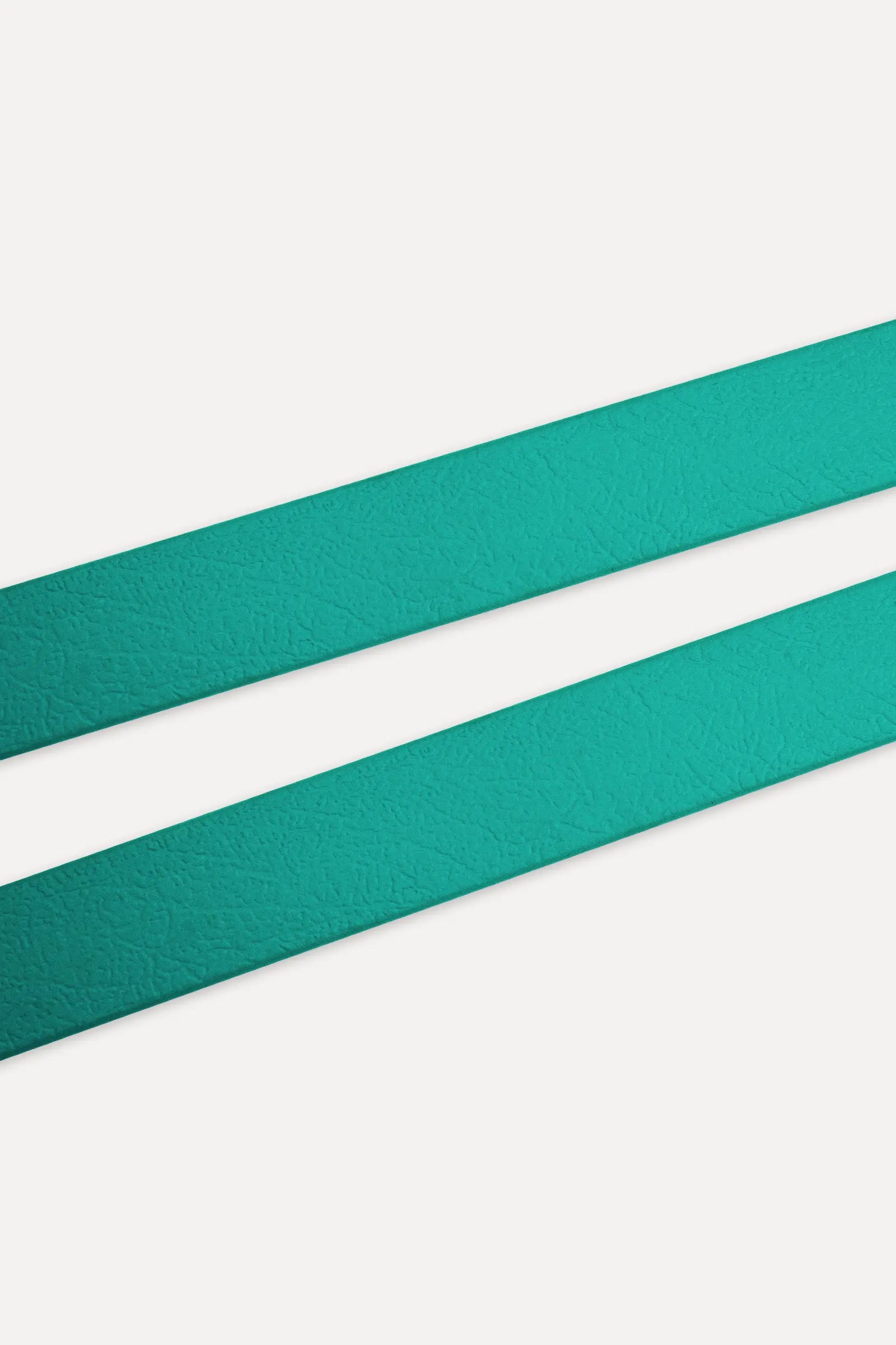 BioThane® Hundeleine · Teal