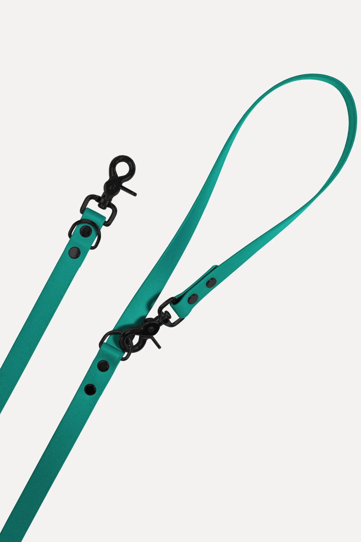 BioThane® Hundeleine · Teal