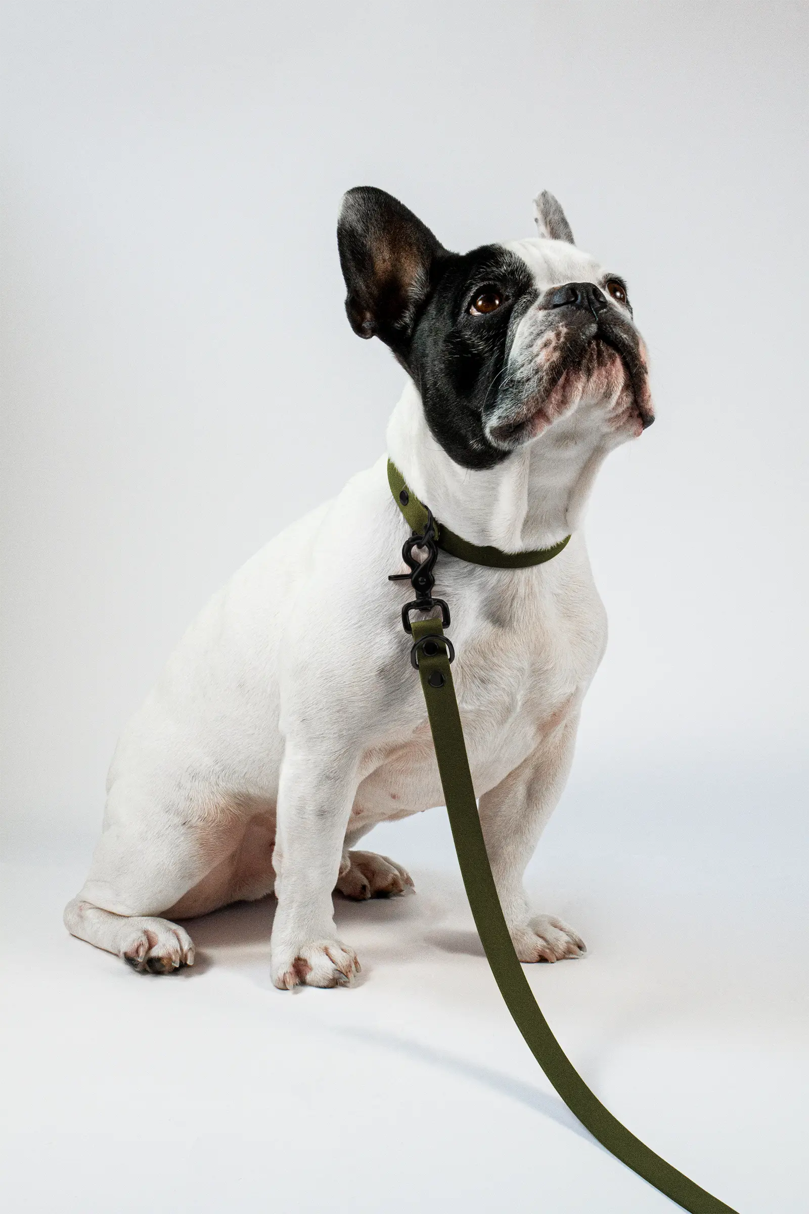 BioThane® Hundeleine · Military Olive
