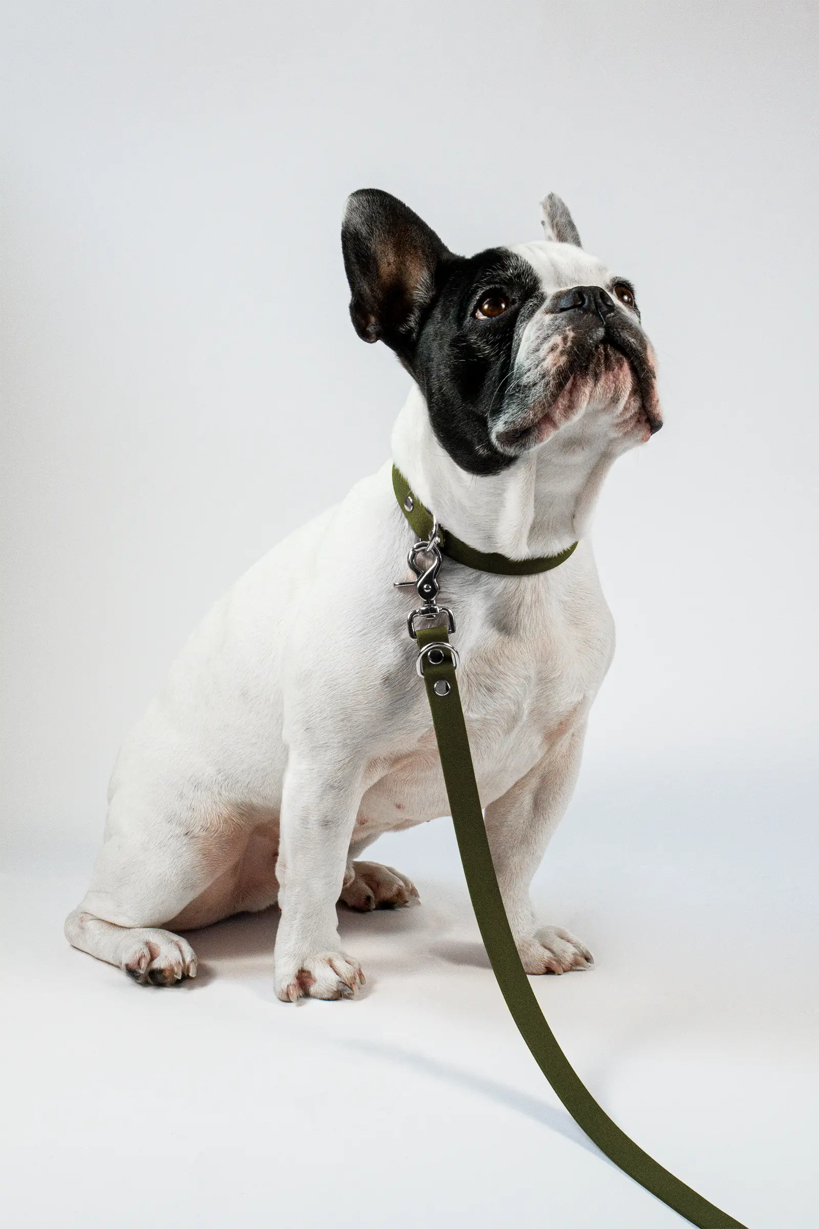 BioThane® Hundeleine · Military Olive